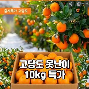 고당도 프리미엄못난이 제주감귤 서귀포 제철과일 불로초10kg~2kg 고당도가정용 귤
