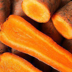 제주 구좌 당근 햇 흙당근 5kg(왕)