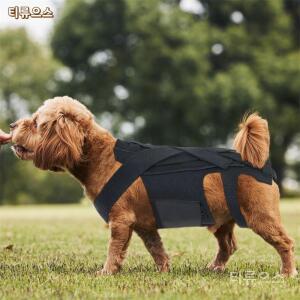 강아지 허리보호대 대형견 소형견 반려견 허리 중형견 강아지척추보조기 벨트 독학 티