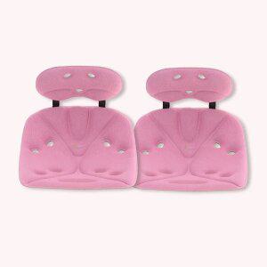 에스백 컴포트 레귤러 2개 세트 자세교정 허리 착추 교정 요추 지지 의자 디스크 등받