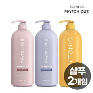 피토니끄 센티드 딥 퍼퓸 리페어 샴푸 3종 1L 2개입 (플로럴머스크/라벤더바닐라/허니