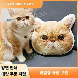 DIY 커스텀 포토쿠션 맞춤 애완견 고양이 강아지 피규어 시뮬레이션 필설 제작 티류으