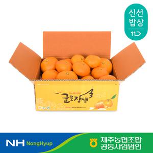 [제주농협] 귤로장생 레드향 2kg 소과(10-15입)