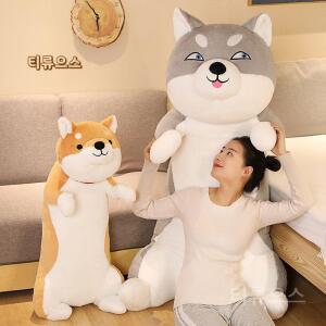 시바견모찌인형 대왕 엄청큰인형 대형강아지 수면 1m 티류으스