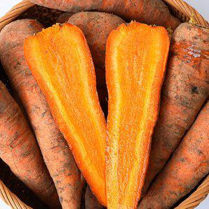 제주 구좌 당근 햇 흙당근 10kg(왕)