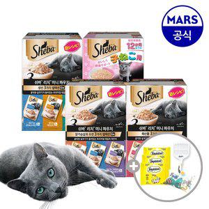 쉬바 미니 리치 35gx12개 골라담기+고양이삽+캣닢쿠션+템테이션12gx3개