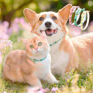 강아지해충방지목걸이 진드기퇴치 벌레 모기 기피제 고양이 애견 반려견 S-L