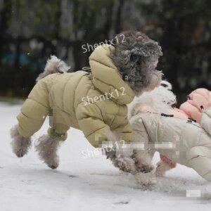 강아지패딩 방한복 애견 겨울옷 하네스 반려동물 의류 지퍼 모자옷 올인원 개 경량 조