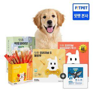 핏펫 잇츄 덴탈껌 간식 대용량 모음전 강아지 양치껌 알러지 방지(+배변패드1매)