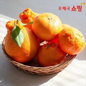 [우체국쇼핑] 제주 제철 한라봉, 레드향, 천혜향 2kg (2개 구매시 500g 중량 업 추가발