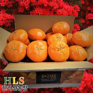 한라산농장 고당도 레드향 5KG 10KG 불만족시 무료반품