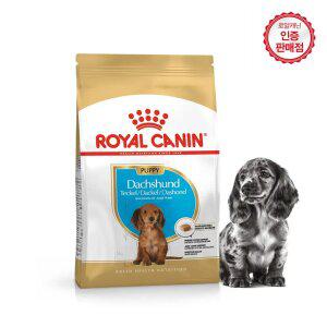 로얄캐닌 강아지사료 닥스훈트 퍼피 1.5k+캔1개+샘플2개+캐리어