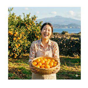 귤판다 제주 고당도 귤 15brix 가정용 서귀포 효돈 타이벡귤 5kg 10kg(가정용)