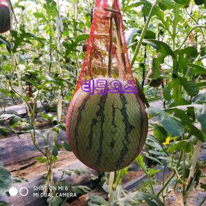 온실 매달린 수박 그물 주머니 두꺼운 멜론 가방 10kg 빨간 밧줄 비닐 도매