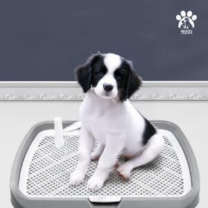 강아지배변판 대형 개 화장실 대형견 배변훈련