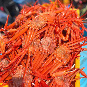 가성비 포항 구룡포 자숙홍게 홍게 3kg 수율 80%