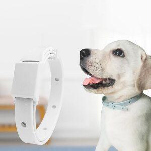 강아지 고양이 해충방지 목걸이 벌레퇴치 진드기 애견 애완견 반려견 개