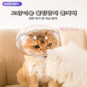 반려묘 고양이 물림방지 목욕 투명 머리 커버 애완동물 우주 헬멧 티류으스