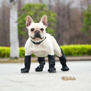 벗기지 않은 외출용 양말 방수 빠짐 방지 일체형 강아지 신발 발보호 티류으스