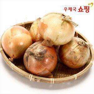 [우체국쇼핑] 단단하고 야무진 만생종 양파_5kg(특상중혼합)