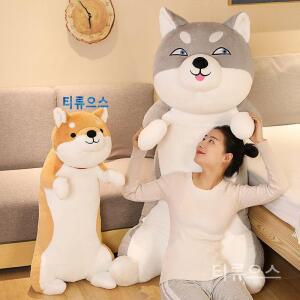 티류으스 시바견모찌인형 대왕 엄청큰인형 대형강아지 수면 1m