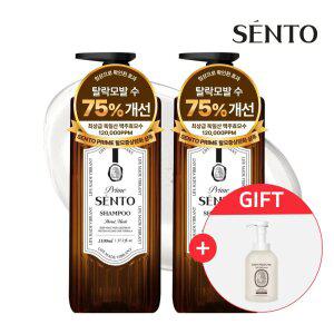 센.토 프라임 맥.주효모 단백질 두피케어 볼륨샴푸 플로럴머스크향 1100ml 2개 +핸드워