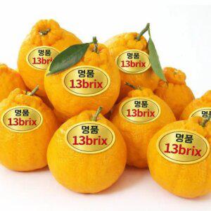 *출시행사품* 제주(하우스) 한라봉 새콤달콤의제왕 귤 15brix고당도(정품) 한라봉 제철
