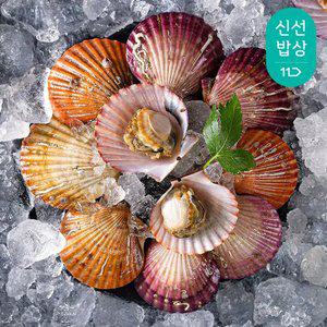 통영 제철 싱싱한 활 홍가리비 4kg