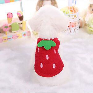 새끼강아지옷 새끼고양이옷 딸기 1개월 2개월 3개월 아기 강아지옷 XXXS-XXS