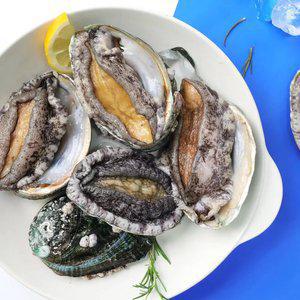 (완도생협)특대 활전복 1kg 10-11미