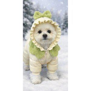 강아지겨울올인원패딩 4발 방한후드 비숑푸들