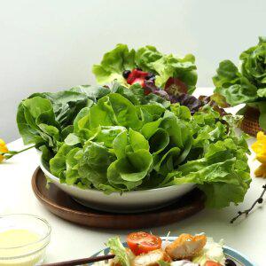 GAP 유럽 샐러드용 쌈채소 1kg(5-6종 랜덤)