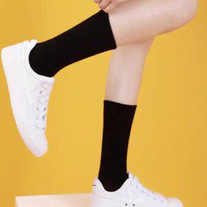 여성 롱 솔리드 크루삭스 6켤레