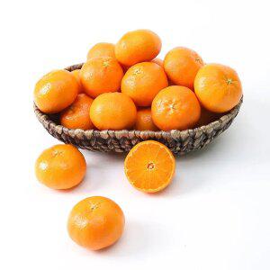 [아침이슬농원] 제주에서 자란 달콤 레드향 정품 4.5kg 로얄과