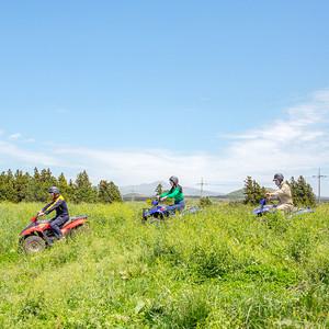 [제주] OK 레저 ATV/ ATV체험 체험레저 제주여행 액티비티