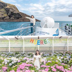 [제주] 우도잠수함+휴애리/우도 잠수함 동백 수국 제주여행