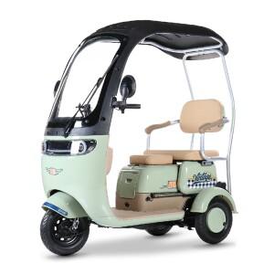 3개의 바퀴 1000W 전기 스쿠터 세발자전거 성인을 위한 작은 이동성 Ebike