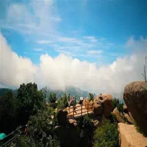 [홈쇼핑동시판매] 청도/핵심 4일 [시그니처/인터컨디너뷔페/노팁/노옵션/노산케이블카]