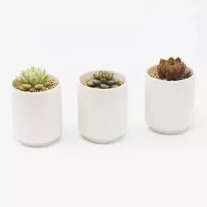 [골드스마일]세라믹화분 다육이 인테리어 반려식물 백토세라믹화분