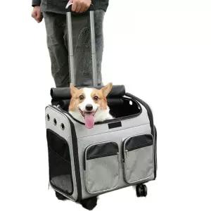 소형견용 이동장 캐리어 수납 백팩 대형 강아지