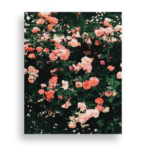 위메이크 페인팅 DIY 명화그리기 장미 40x50