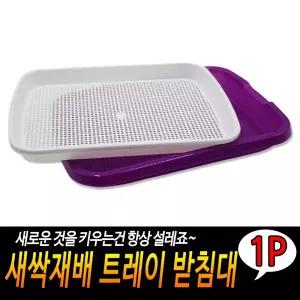 새싹재배 트레이 받침대/식용새싹/식물관찰/실습도구/방학숙제/키우기/씨앗/식물/과학수업/학습교구/텃밭