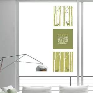 자작나무프레임 디자인스티커 시트지 벽지 포인트 W249719