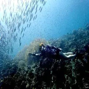 [부산출발] 사이판 5일 #켄싱턴호텔 #성인2명+아동2명 가족팩 #로얄디럭스 #올인클루시브 #NEW북부관광[타포차우산] #레이트체크아웃