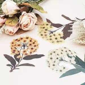 문구용품 화이트시트 반사자석 화물차반사시그널 상품홍보 인테리어액세서리 연필케이스 자동차용시트지 거심데코 화이트동글문구 주문감사문 숫자피복 캐릭터꾸미기 드라이 플라워 스티커