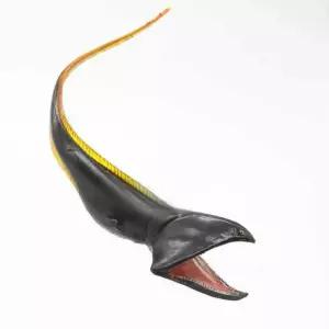 심해어 피규어 생물대도감 박물관 마리 심해 일본