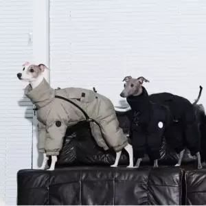 아이쥐 패딩 따뜻한 이탈리안 겨울애견무스탕 겨울옷 중형견 강아지 대형견