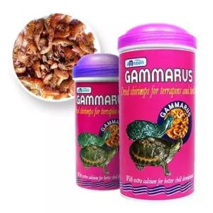 거북이 사료 고단백 감마루스 1000ml