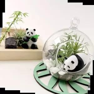 만들기세트 팬더 작은 대나무 정원 만들기 테라리움 공기정화