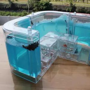 개미 관찰 집 키우기 세트 하우스 과학 어린이